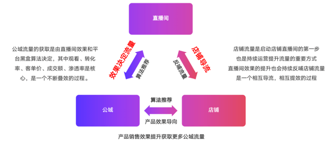 2024新澳门今晚开特马直播,重要性解释落实方法_豪华款88.612