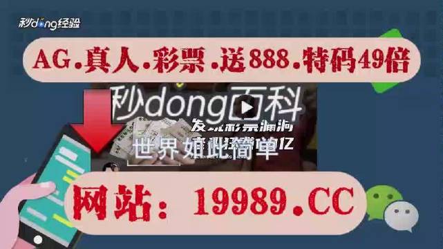 新澳门六开奖结果2024开奖记录查询网站,全面解答解释落实_BT83.81