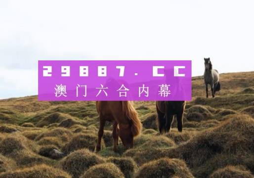 奥门开奖结果+开奖记录2024年资料网站,最新热门解答落实_LE版24.767