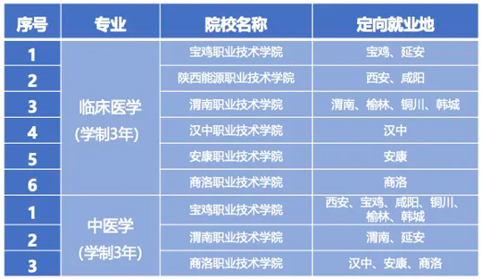 2024新澳精准资料免费,全面理解执行计划_薄荷版75.922