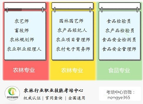 一码一肖100%精准,创新解析方案_Z55.526